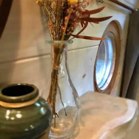 Tatil Evi Tiny House Titiwane Quartier Vert De Liege Liège