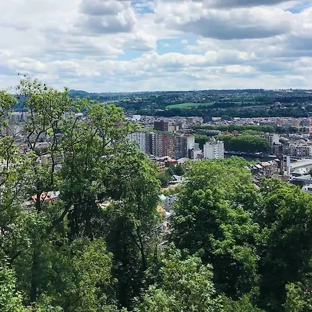 別荘 Tiny House Titiwane Quartier Vert De Liege