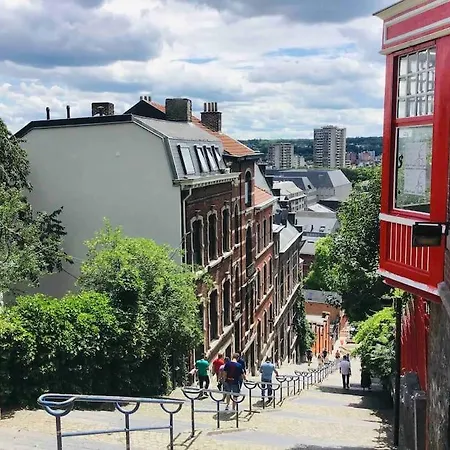 Tiny House Titiwane Quartier Vert De Liege